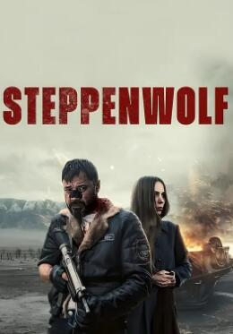 电影：荒原狼2024