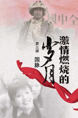 电影：激情燃烧的岁月3