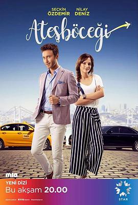 电影：萤火虫2017