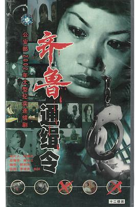 电影：齐鲁通缉令