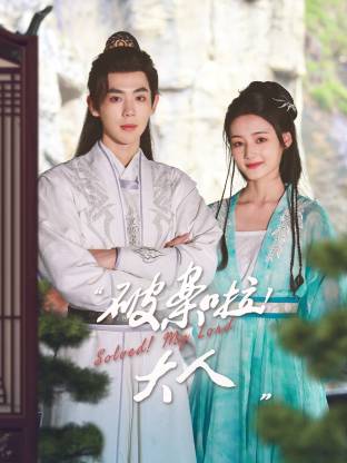 电影：破案啦！大人