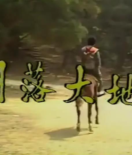 电影：月落大地