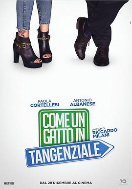 电影：高速路上一只猫