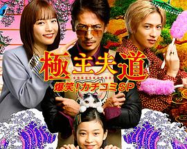 电影：极主夫道 爆笑！找碴