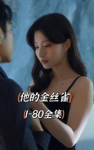 电影：他的金丝雀