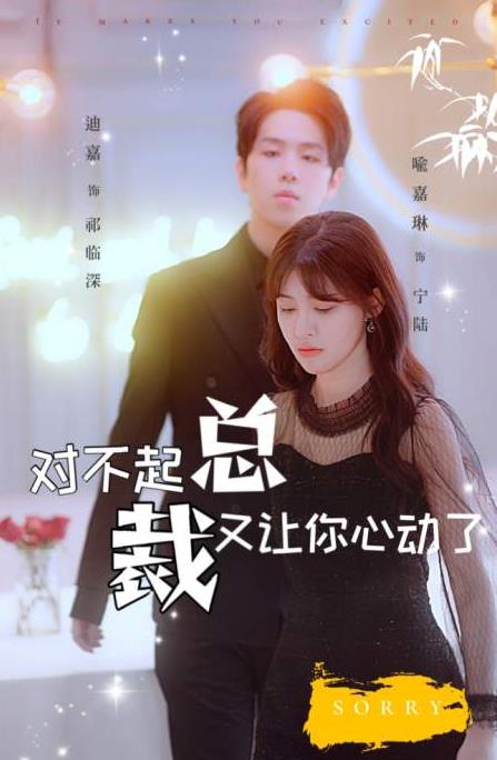 电影：对不起总裁又让你心动了