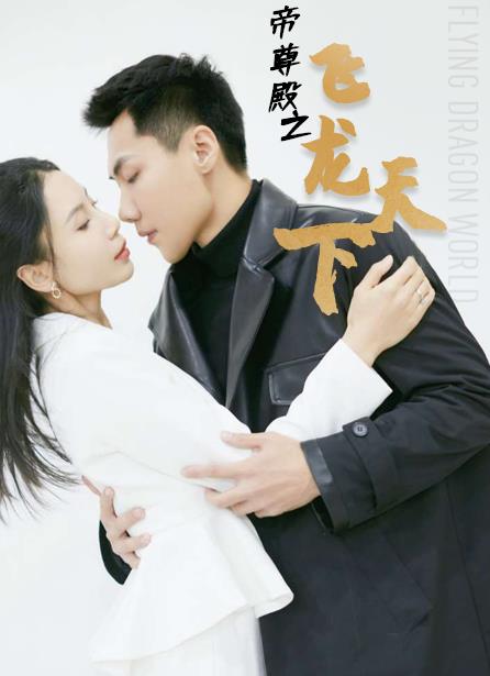 电影：帝尊殿之飞龙天下