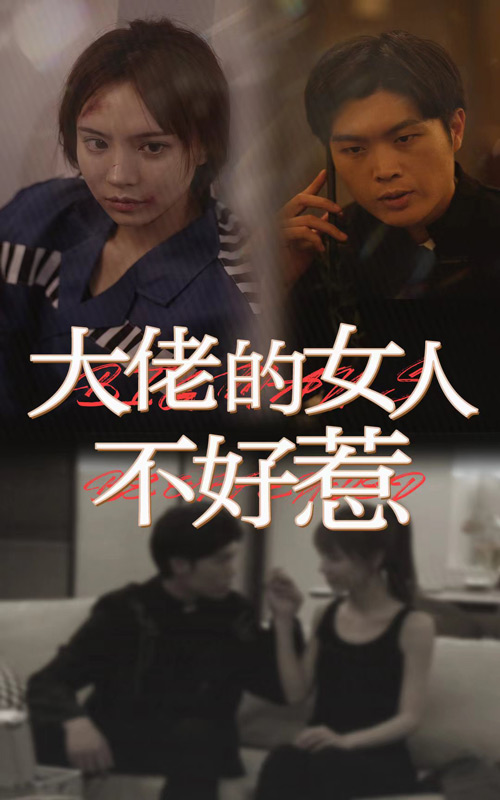 电影：大佬女人不好惹