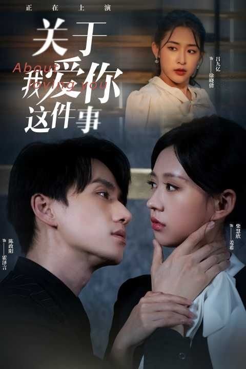 电影：关于爱你这件事