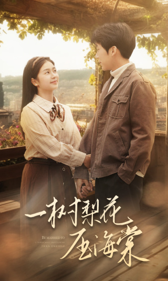 电影：一树梨花压海棠2024