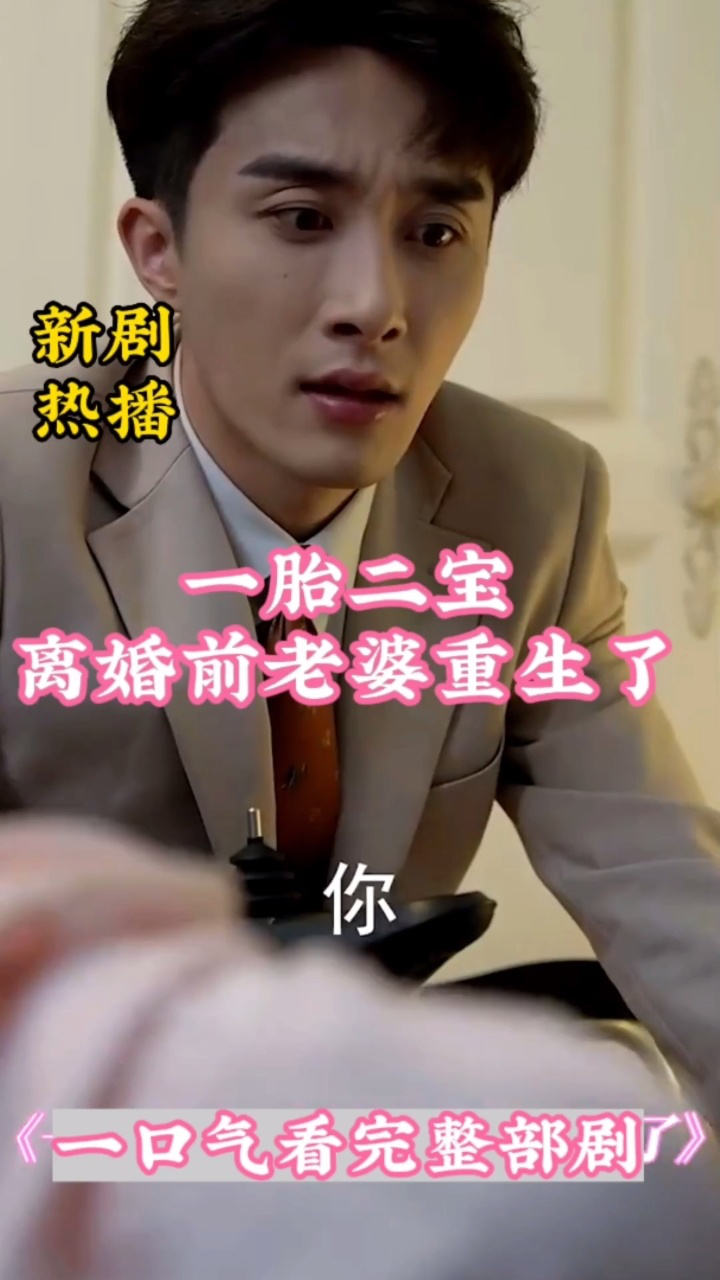 电影：一胎二宝：离婚前老婆重生了