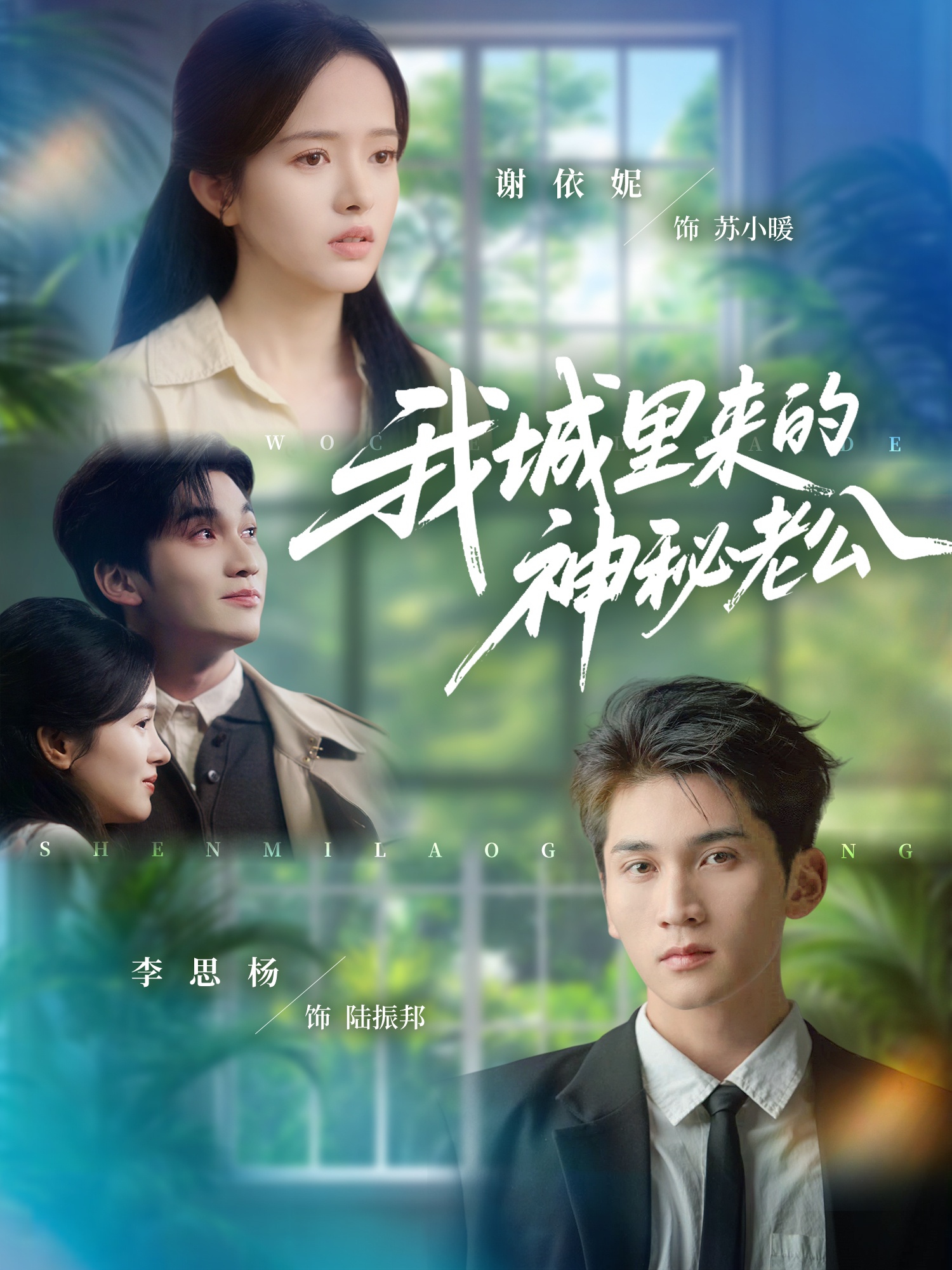 电影：我城里来的神秘老公