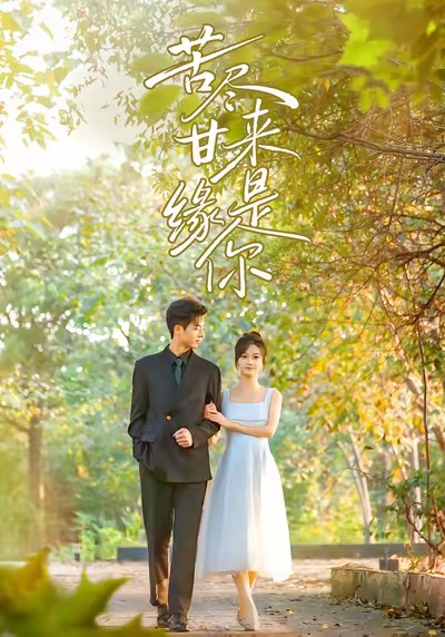 电影：苦尽甘来缘是你