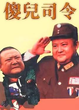 电影：傻儿司令