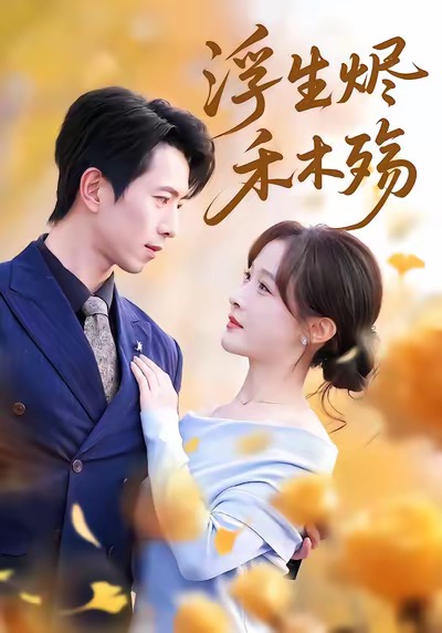 电影：浮生烬禾木殇