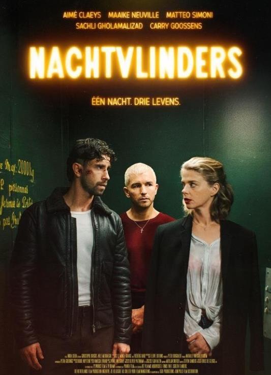 电影：暗夜蝶影