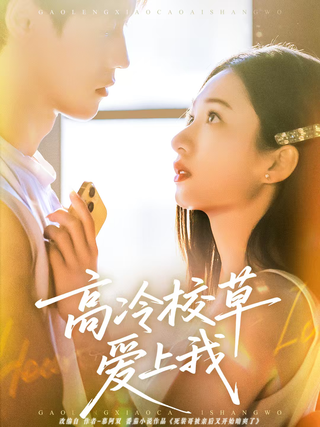 电影：高冷校草爱上我