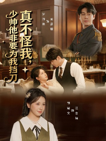电影：真不怪我，少帅他非要为我挡刀