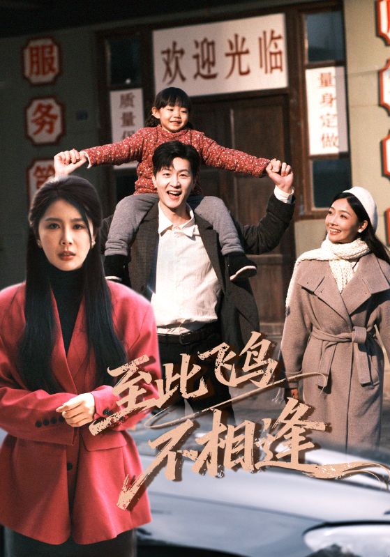 电影：到此飞鸟不相逢