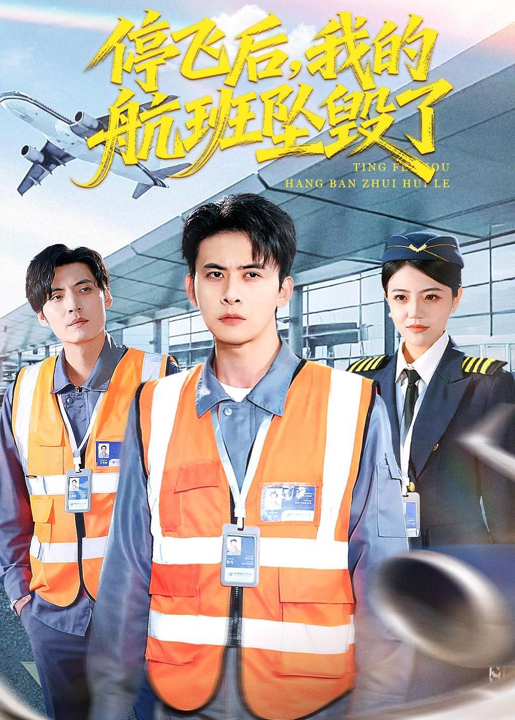 电影：停飞后，我的航班坠毁了