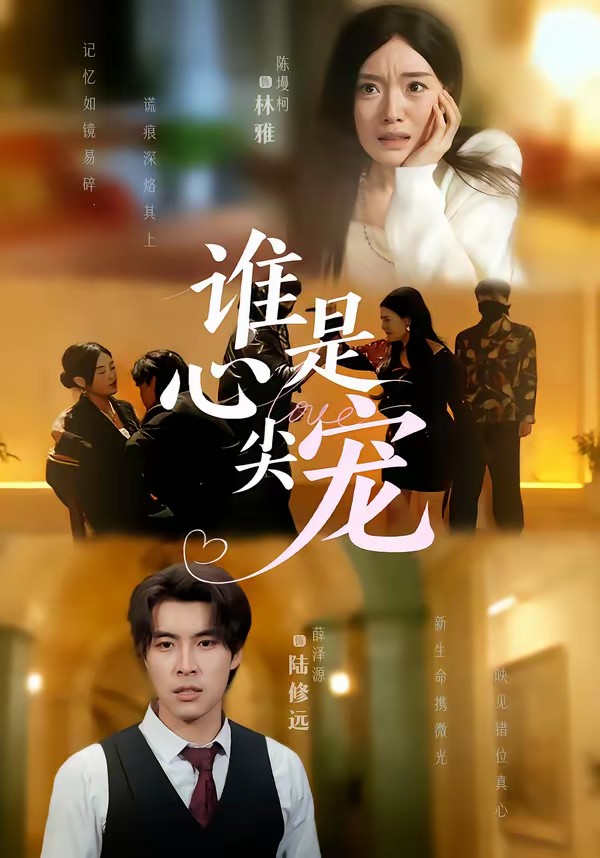 电影：谁是心尖宠