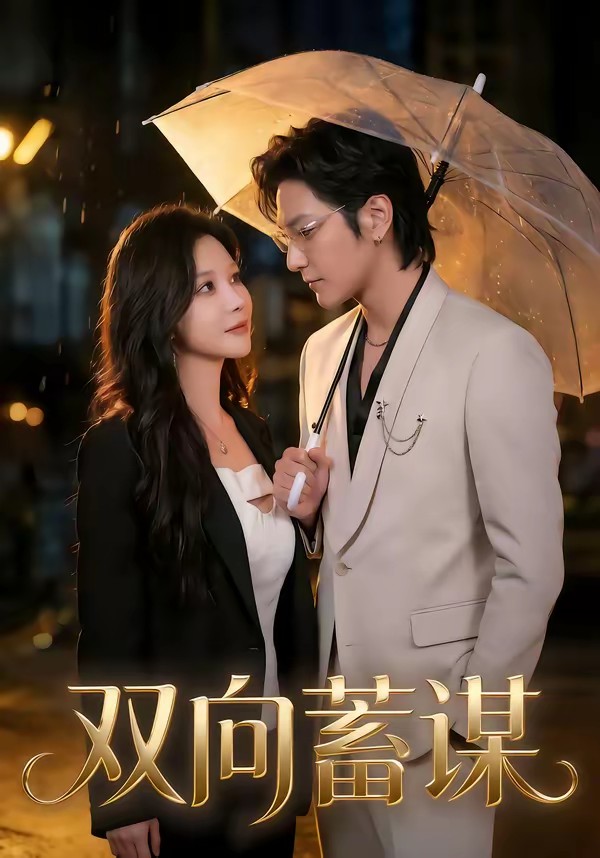 电影：双向蓄谋