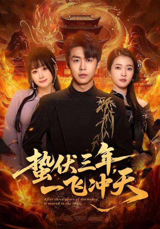 电影：蛰伏三年，一飞冲天