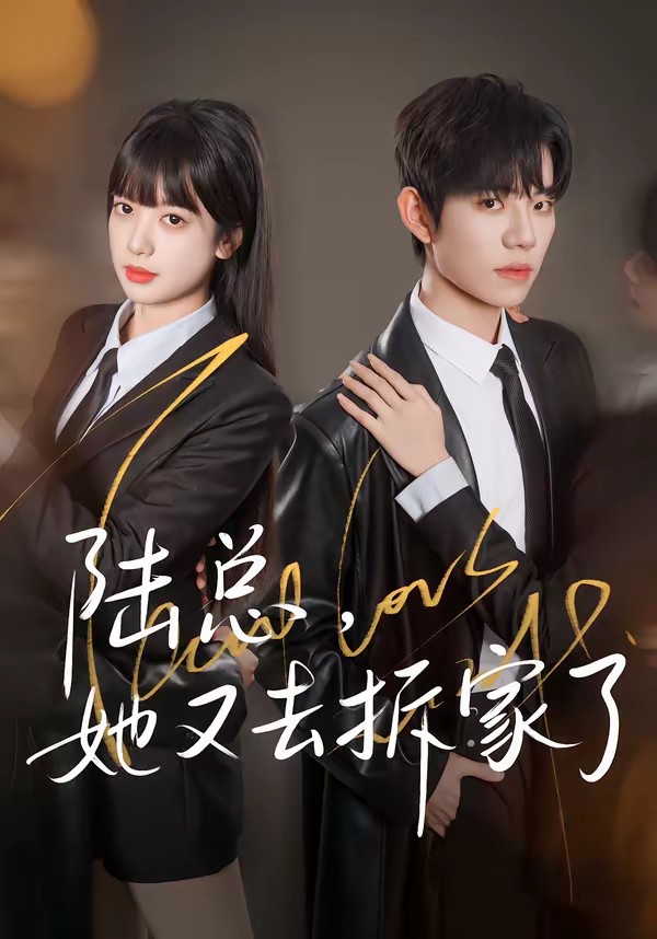 电影：陆总，她又去拆家了