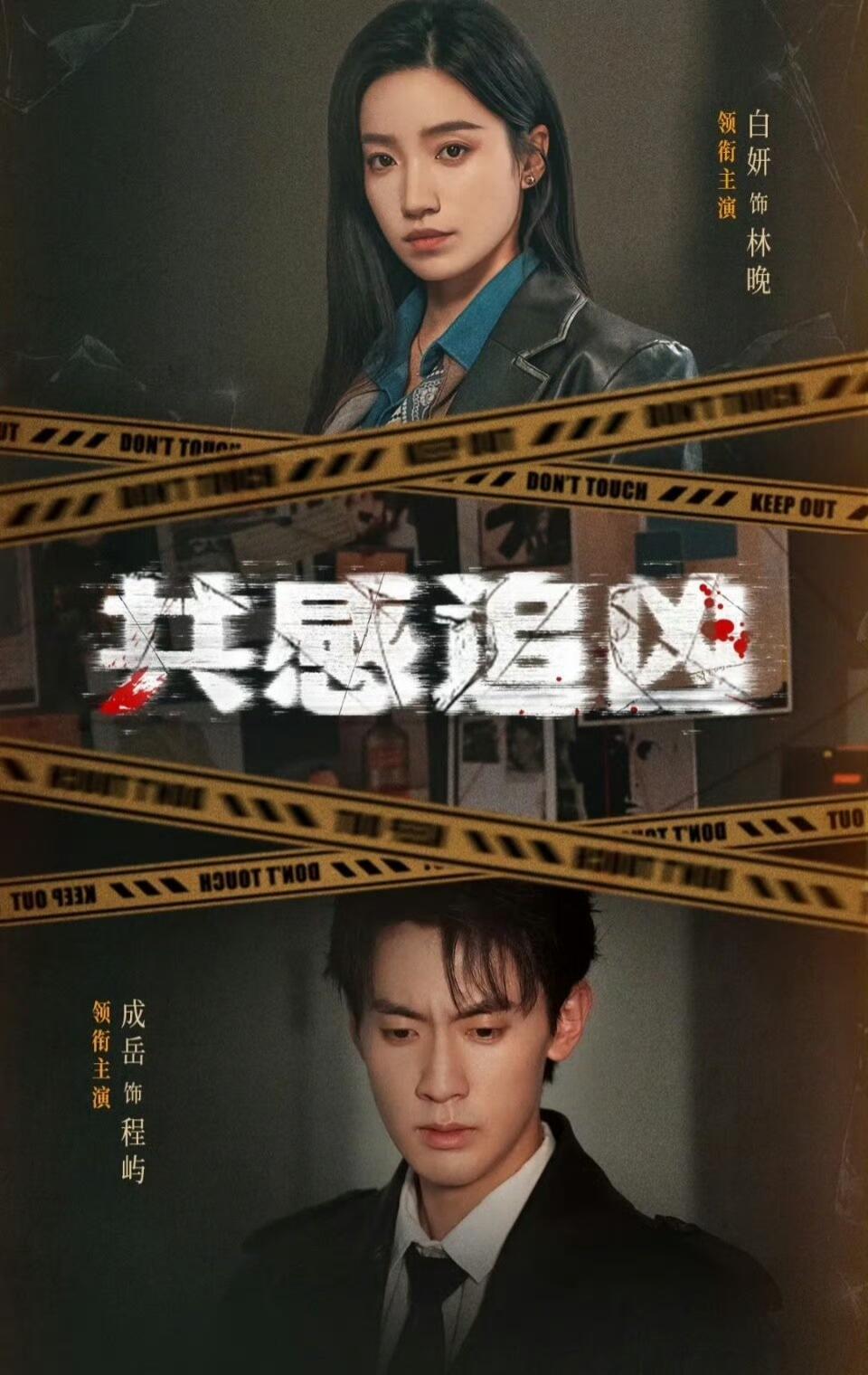 电影：共感追凶