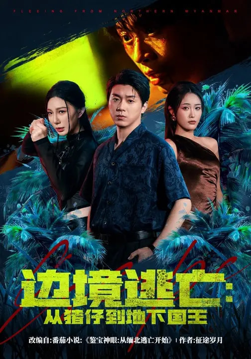 电影：边境逃亡：从猪仔到地下国王
