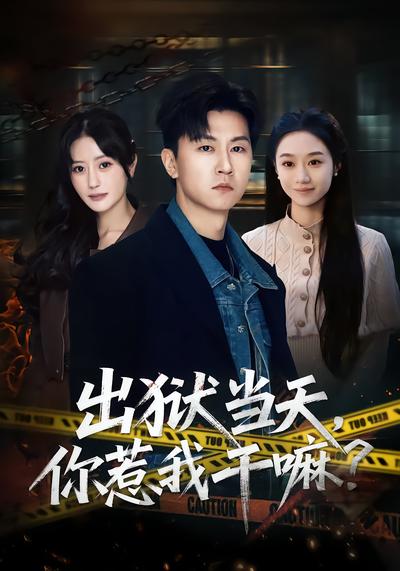 电影：出狱当天，你惹我干嘛？