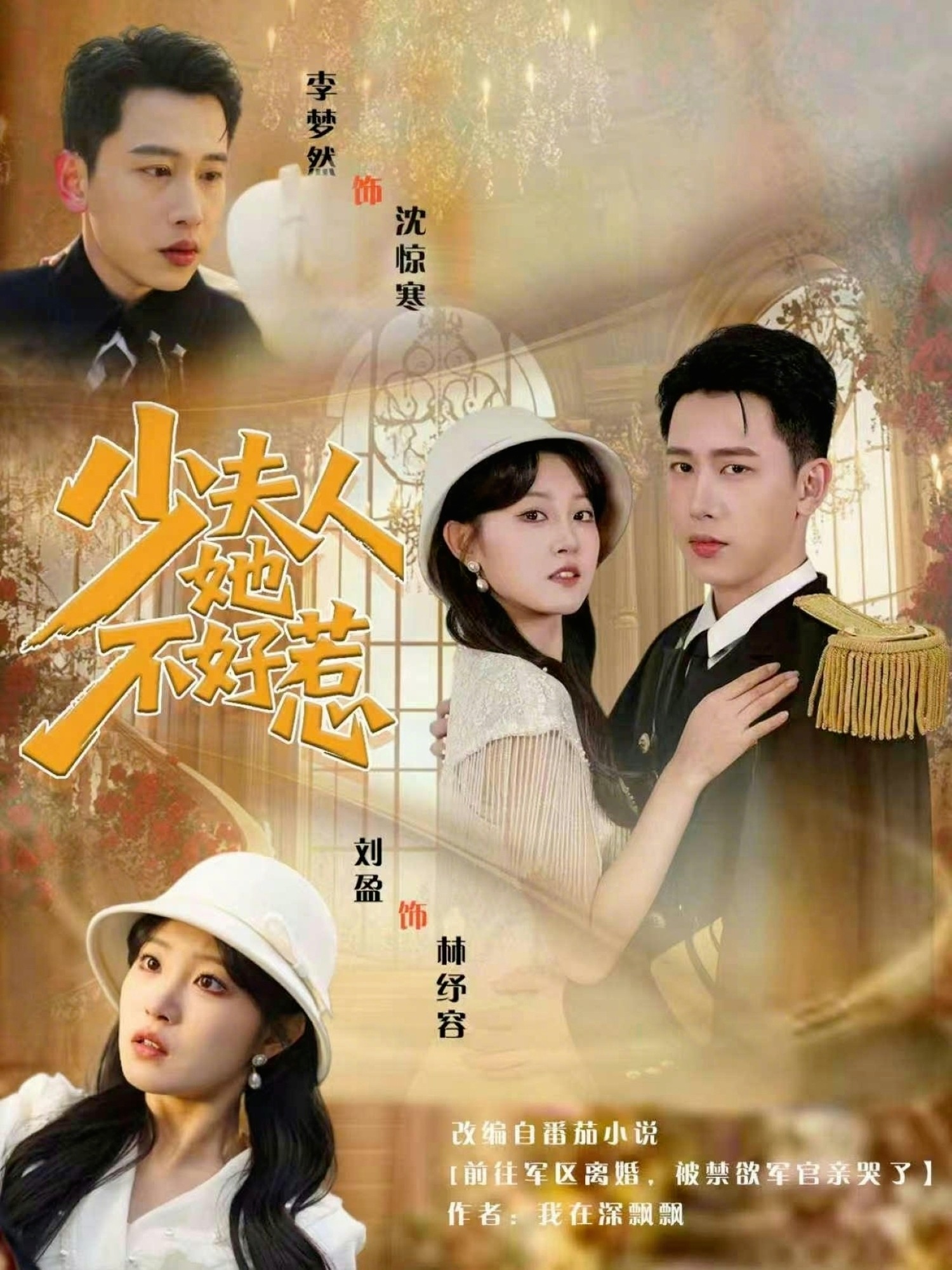 电影：少夫人她不好惹