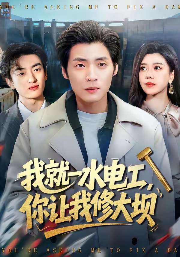 电影：我就一水电工，你让我修大坝