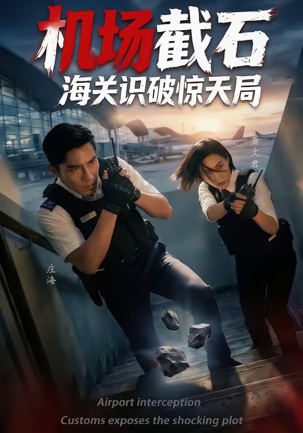 电影：机场截石，海关识破惊天局