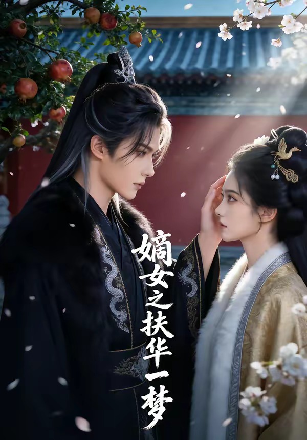 电影：嫡女之扶华一梦