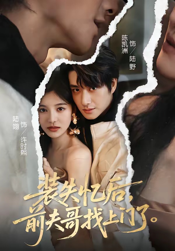 电影：装失忆后，前夫哥找上门了