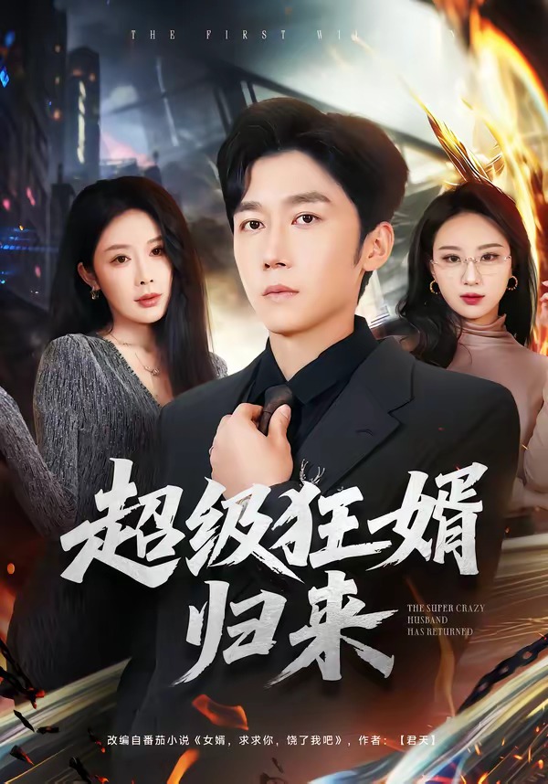 电影：超级狂婿归来