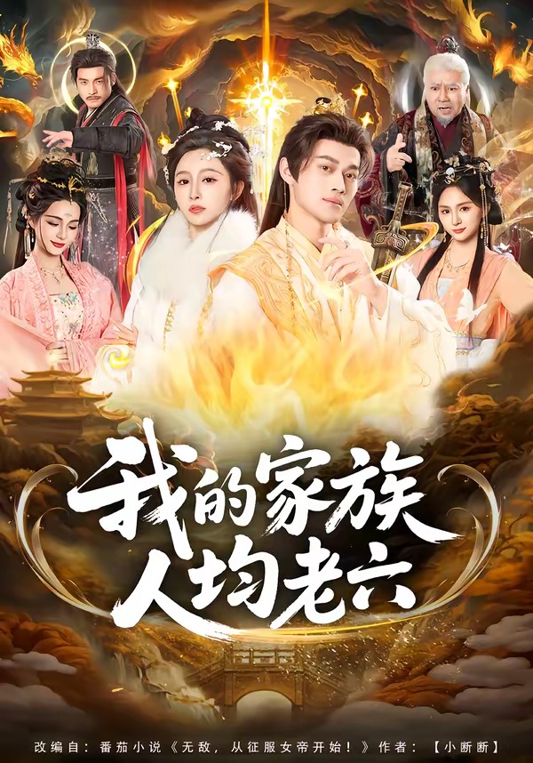 电影：我的家族人均老六