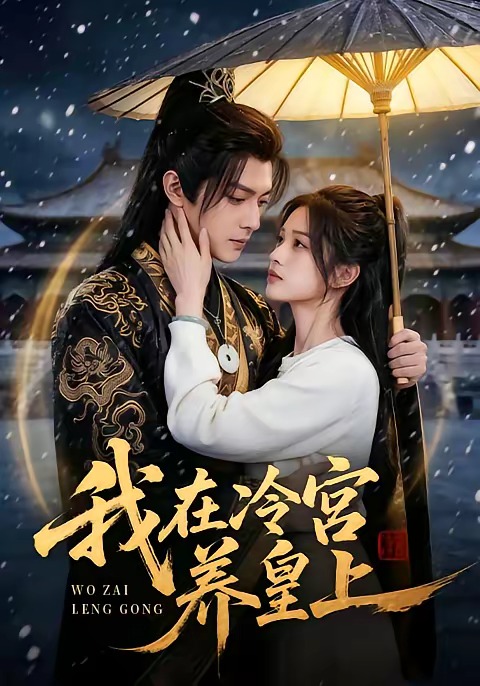 电影：我在冷宫养皇上