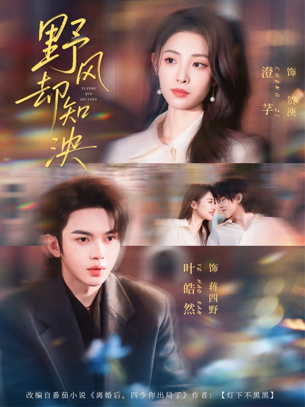 电影：野风却知泱