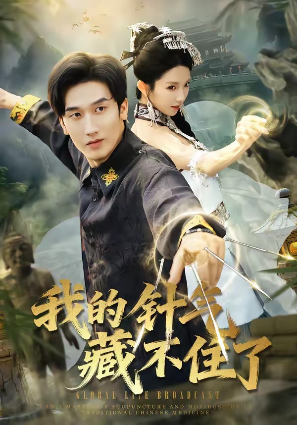 电影：我的针气藏不住了
