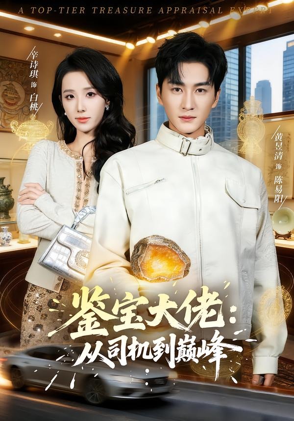 电影：鉴宝大佬： 从司机到巅峰