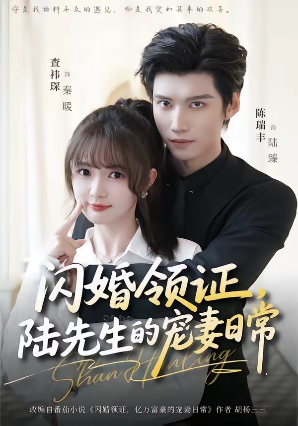 电影：闪婚领证，陆先生的宠妻日常