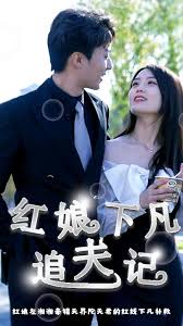 电影：红娘下凡追夫记
