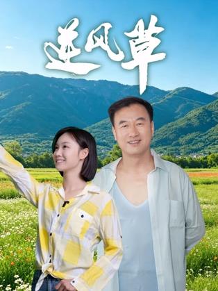 电影：逆风草